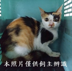 11506236003_4-3送紮