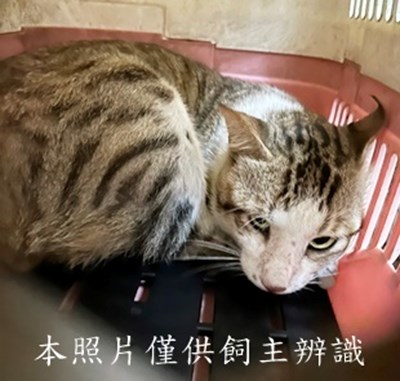 11506240002收54