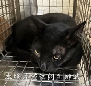 11506240004收70