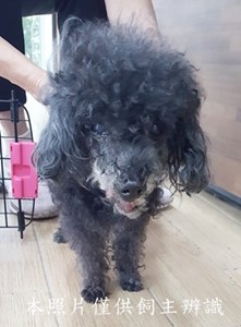 11506250005收棄