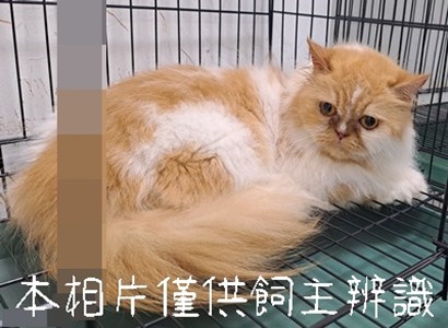 11506256002_3-26動保案件