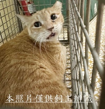 11506260001收73