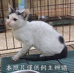 11506270002收15