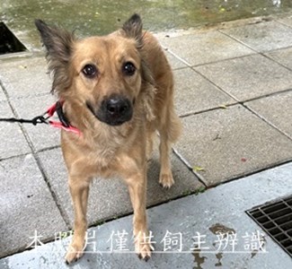 11506270003收棄