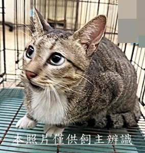 11506270004收35