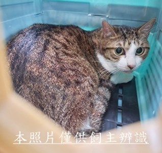 11506270007收棄