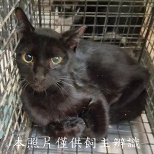 11506280002收-65