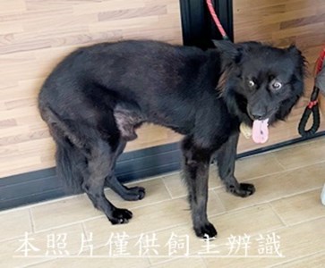 11506300003收棄