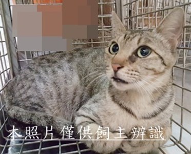 11506300007收-55