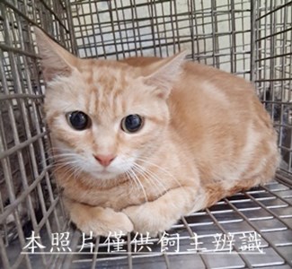 11507020001收-33