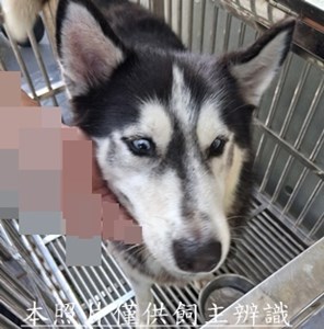 11507020007收棄
