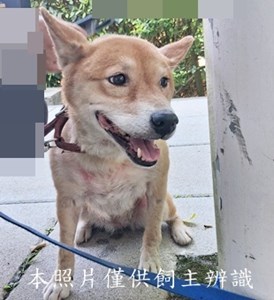11507020008收棄