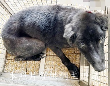 11507020009收安5