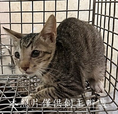 11507020011收57