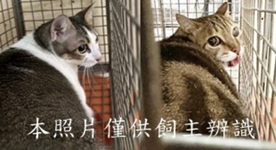 11507020012-13收-horz