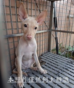 11507020014收幼28