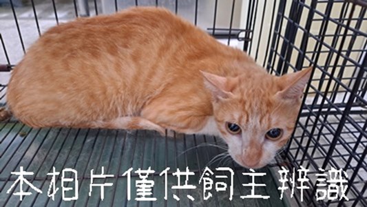 11507036001_3-19動保案件