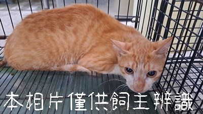 11507036001_3-19動保案件