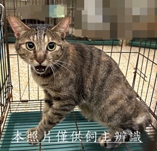 11507060001收64