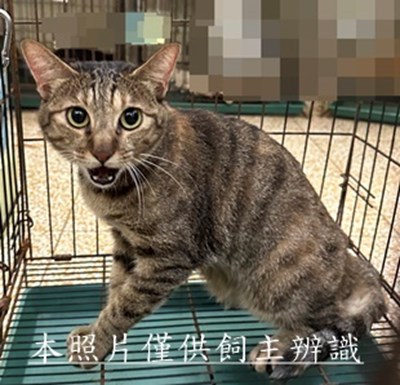 11507060001收64