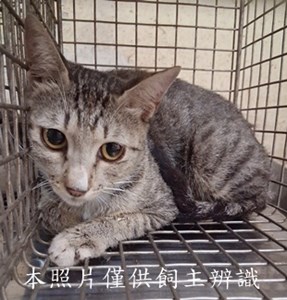 11507060004收35