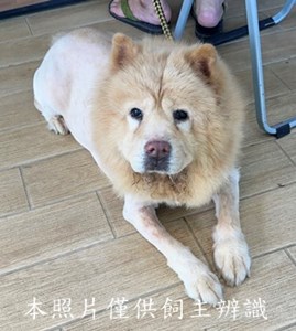 11507060006收棄