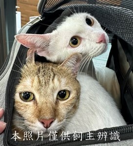 11507060008-9收棄
