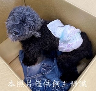 11507060010收棄
