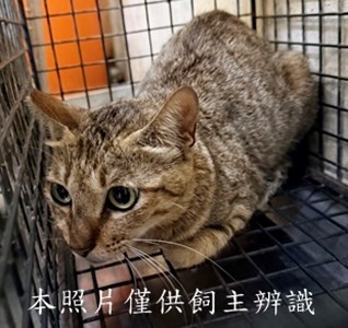 11507060012收56