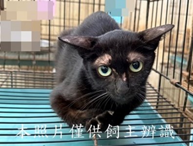 11507060013收66
