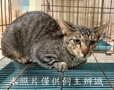 11507060014收67