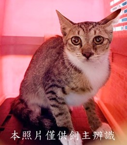 11507060015收64