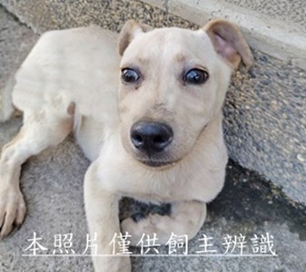11507070011收18