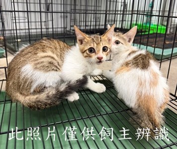 11507086003-4拾
