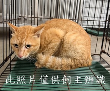 11507086005陳