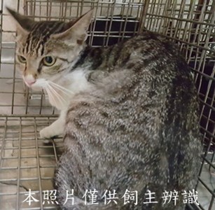 11507080009收-17