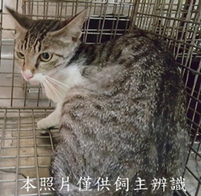 11507080009收-17