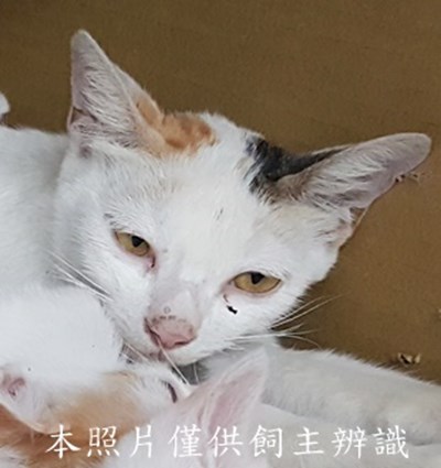 11507080011收-78