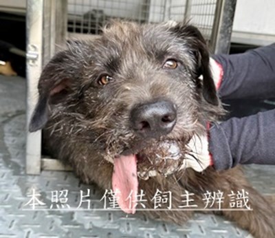 11507070012收2