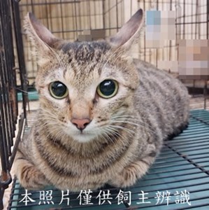 11507090011收-45