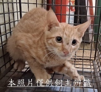 11507100004收22