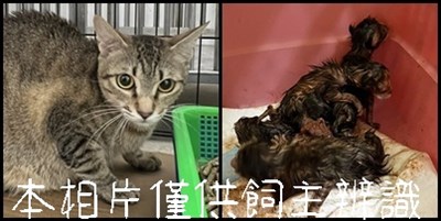 11507116001 8001-4(動保)