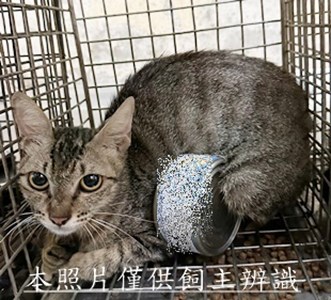 11507110001收76