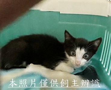 11507110002收33