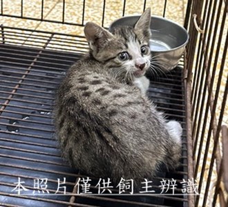 11507120001收40
