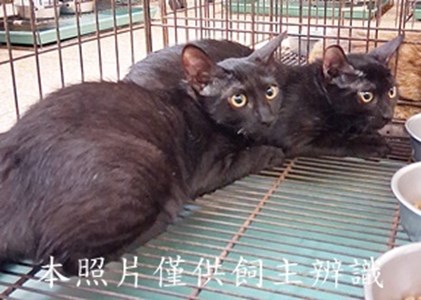 11507130010-11收-30