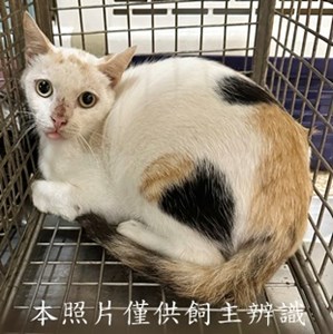 11507160003收76