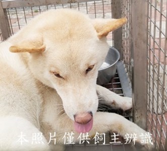 11507170008收-B