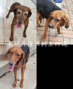 11507170011-13收-tile