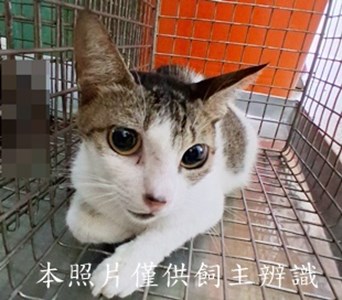 11507200003收-32